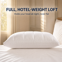 Cirrus Down Pillow