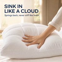 Cirrus Down Pillow