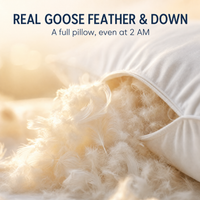 Cirrus Down Pillow