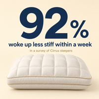 Cirrus Down Pillow