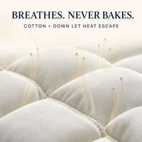 Cirrus Down Pillow