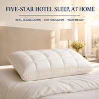 Cirrus Down Pillow